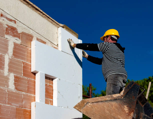Best Energy-efficient Insulation  in Wakefield, NE