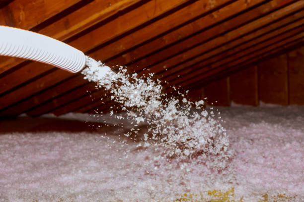 Best Crawl Space Insulation  in Wakefield, NE