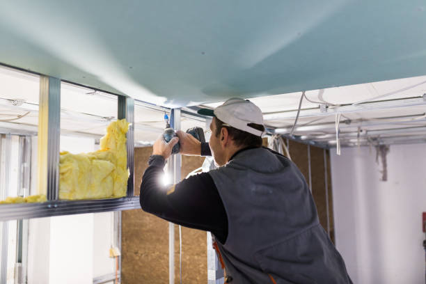 Best Local Insulation Services  in Wakefield, NE