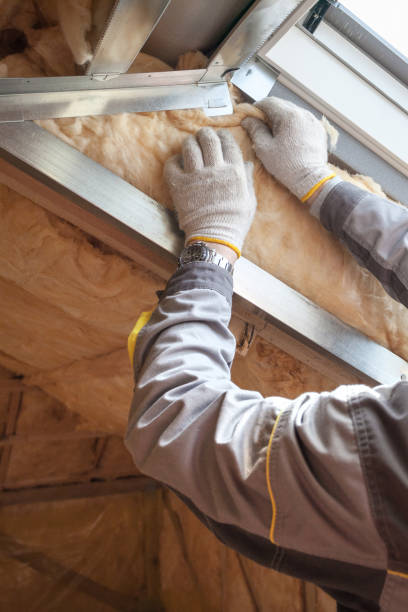 Best Fiberglass Insulation  in Wakefield, NE