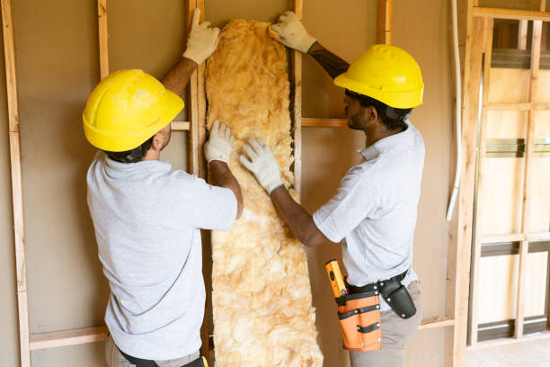 Best Attic Insulation Installation  in Wakefield, NE