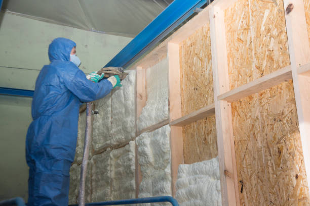 Best Residential Insulation Services  in Wakefield, NE