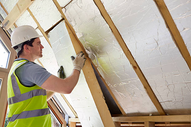 Best Insulation Replacement Services  in Wakefield, NE